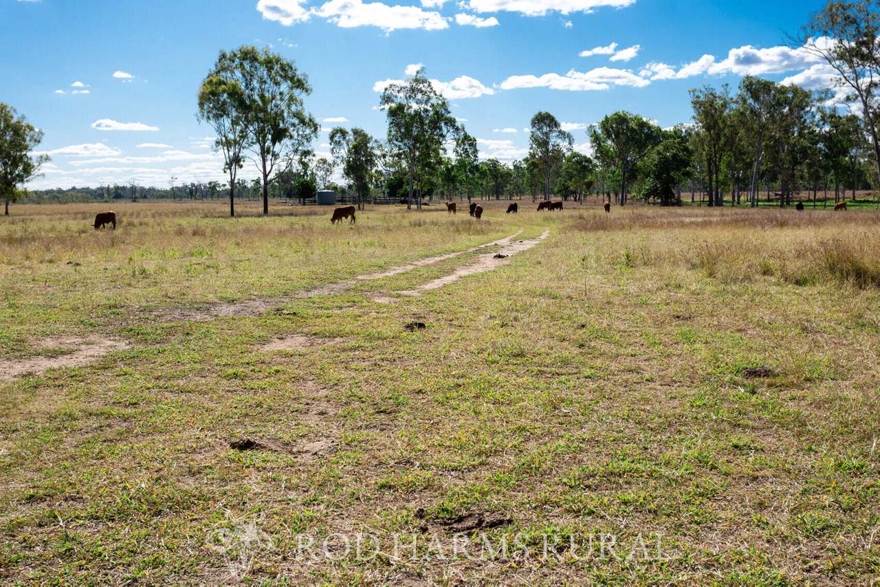 South Yaamba Road, South Yaamba For Sale by Farmbuy.com - image 21