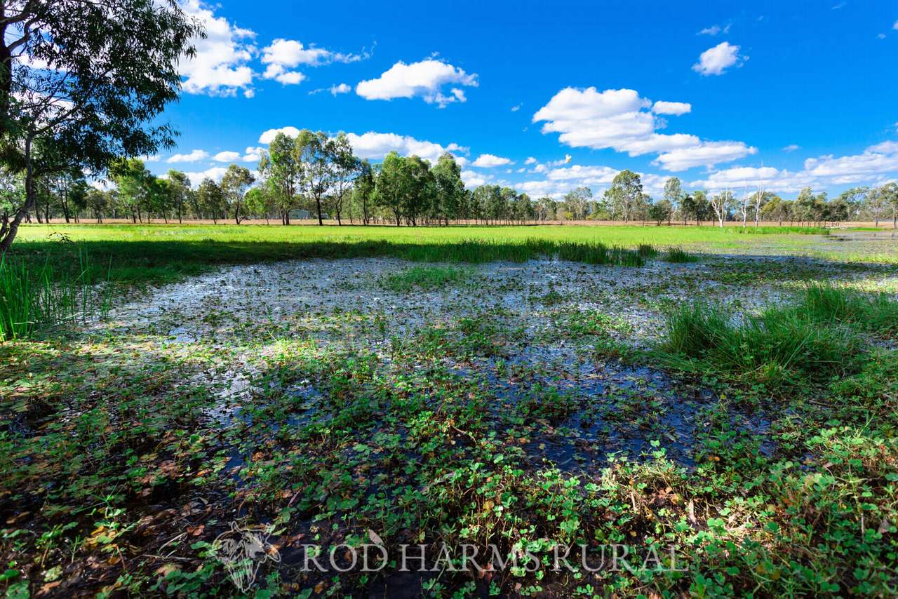 South Yaamba Road, South Yaamba For Sale by Farmbuy.com - image 37