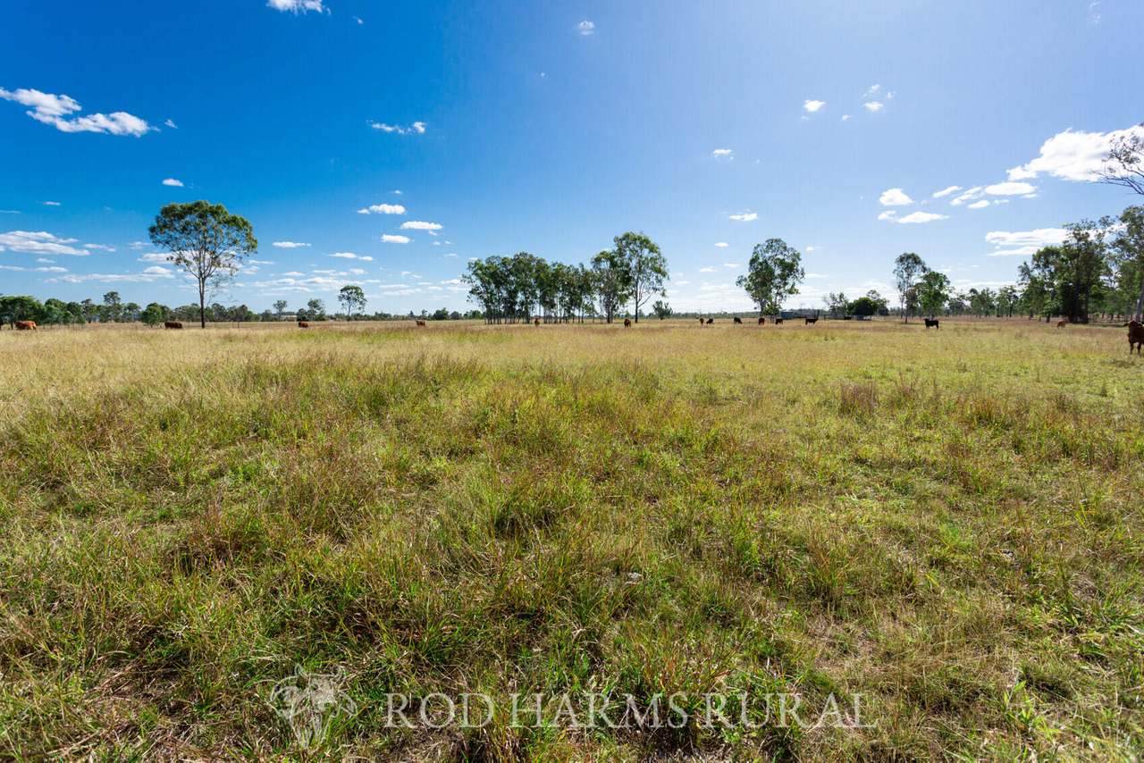 South Yaamba Road, South Yaamba For Sale by Farmbuy.com - image 26