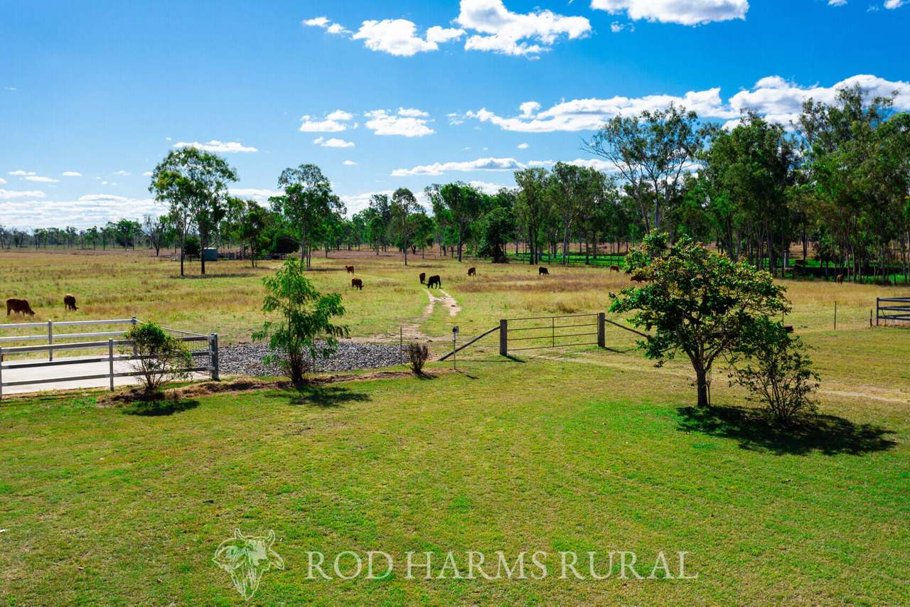 South Yaamba Road, South Yaamba For Sale by Farmbuy.com - image 17