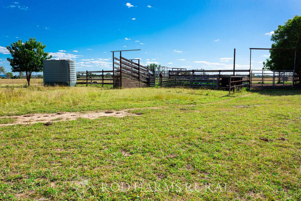 South Yaamba Road, South Yaamba For Sale by Farmbuy.com - image 22