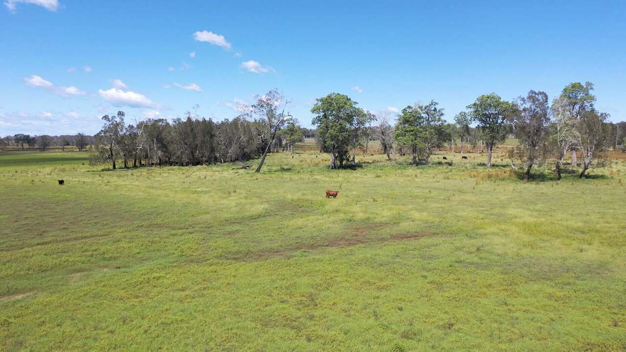 119 & 169 Timbs Lane, Clarenza Sold by Farmbuy.com - image 8