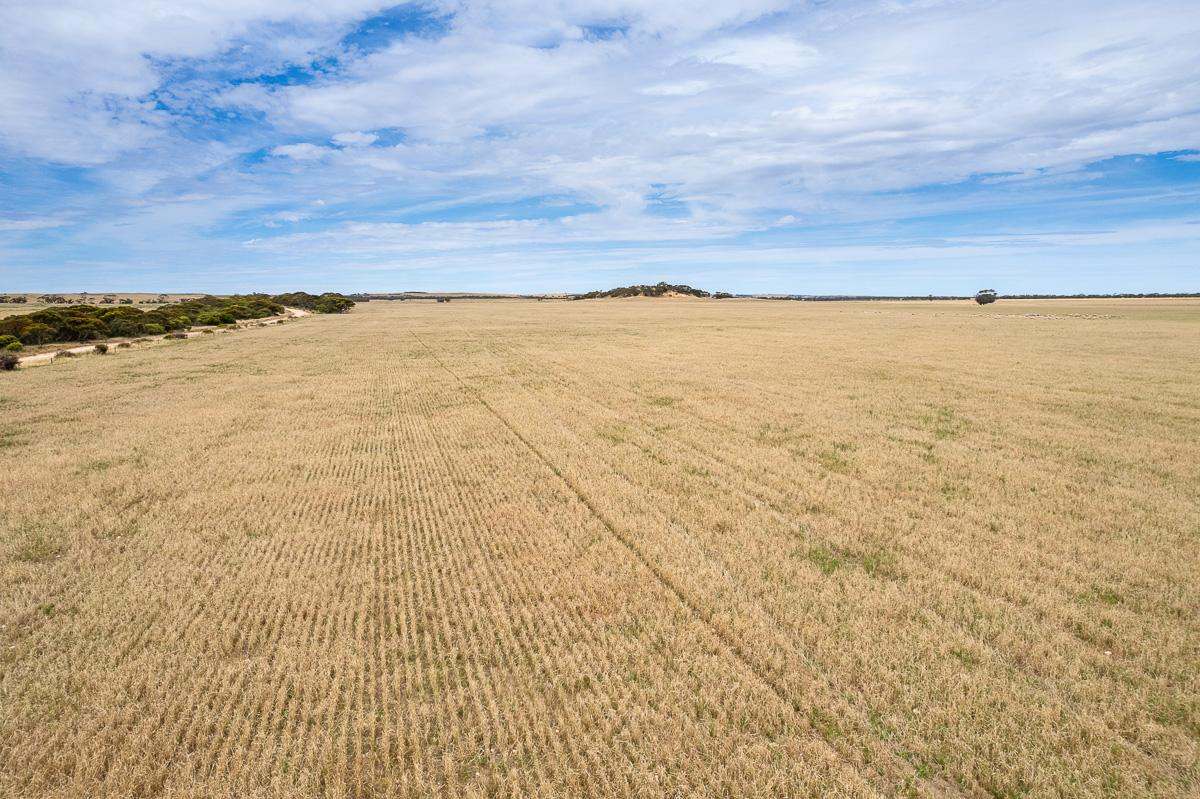 2372 Kulkawurra Road, Sherlock For Sale by Farmbuy.com - image 3