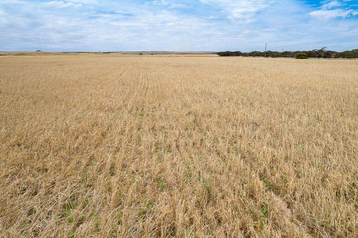 2372 Kulkawurra Road, Sherlock For Sale by Farmbuy.com - image 10