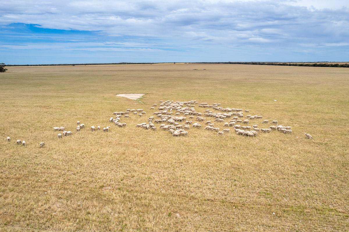 2372 Kulkawurra Road, Sherlock For Sale by Farmbuy.com - image 11