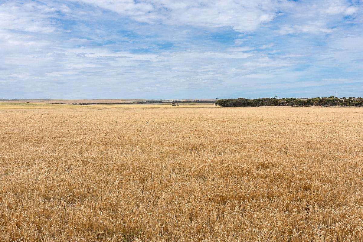 2372 Kulkawurra Road, Sherlock For Sale by Farmbuy.com - image 4