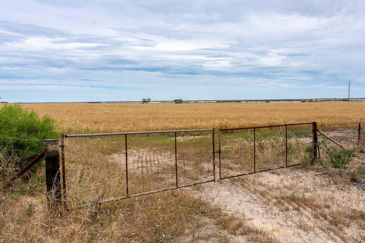 2372 Kulkawurra Road, Sherlock For Sale by Farmbuy.com - image 22