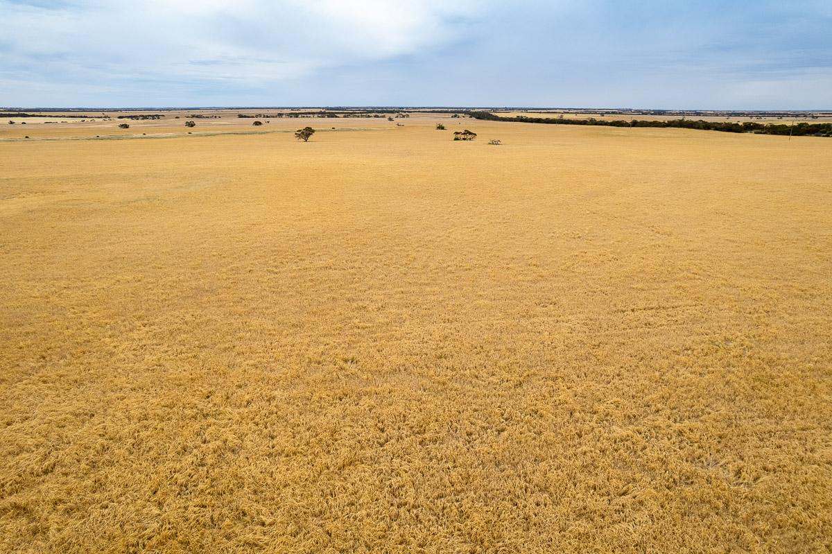 2372 Kulkawurra Road, Sherlock For Sale by Farmbuy.com - image 2