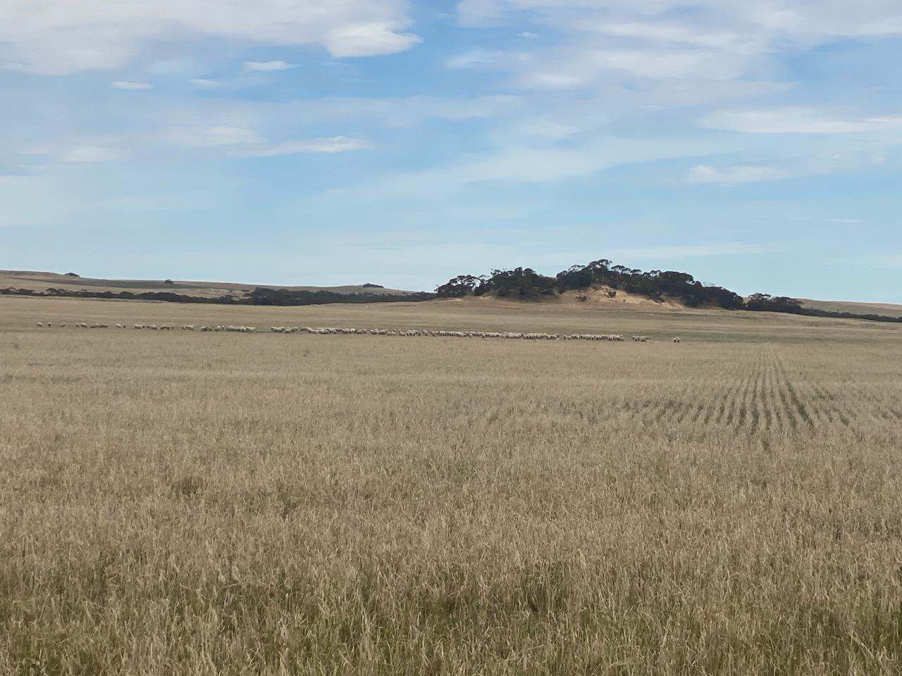 2372 Kulkawurra Road, Sherlock For Sale by Farmbuy.com - image 8