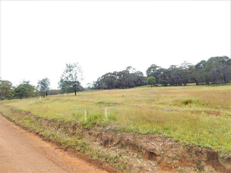 Lot 147 Tredegar Road, Bombala Sold by Farmbuy.com - image 12