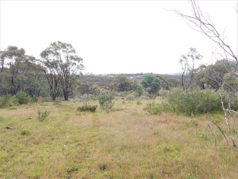Lot 147 Tredegar Road, Bombala Sold by Farmbuy.com - image 7