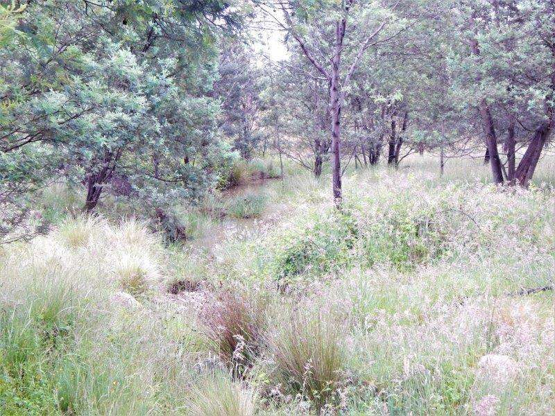 Lot 147 Tredegar Road, Bombala Sold by Farmbuy.com - image 8