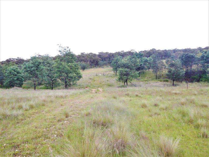 Lot 147 Tredegar Road, Bombala Sold by Farmbuy.com - image 3