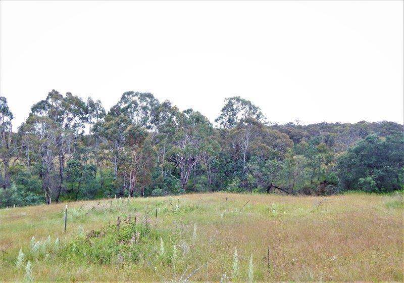 Lot 147 Tredegar Road, Bombala Sold by Farmbuy.com - image 10