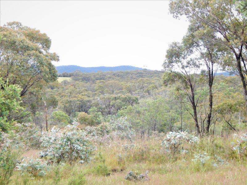 Lot 147 Tredegar Road, Bombala Sold by Farmbuy.com - image 6