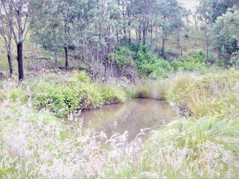 Lot 147 Tredegar Road, Bombala Sold by Farmbuy.com - image 9
