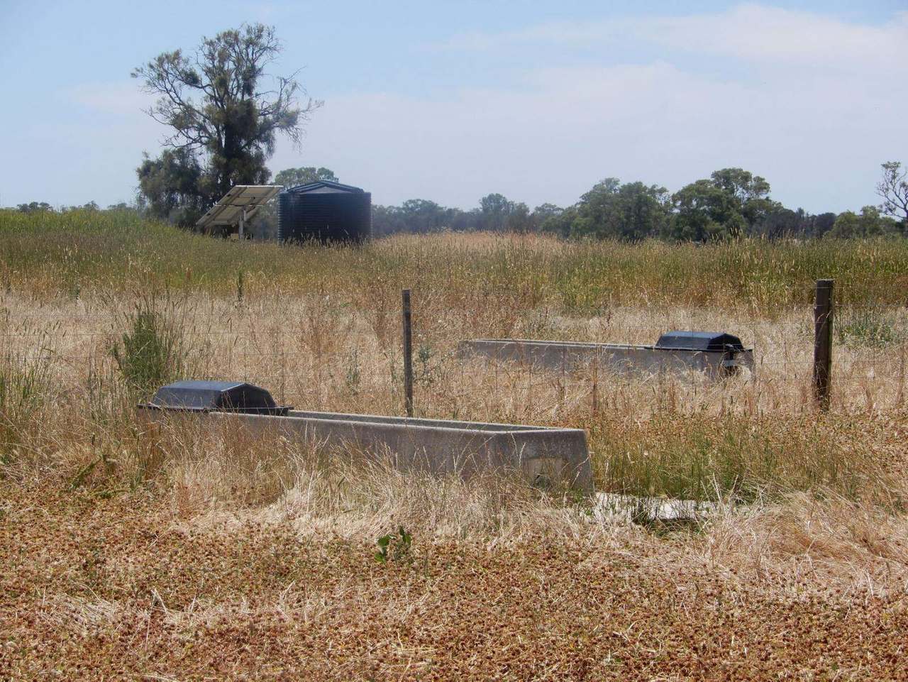 Allot 83, 84 & 84A Patyah Road, Patyah Leased by Farmbuy.com - image 10
