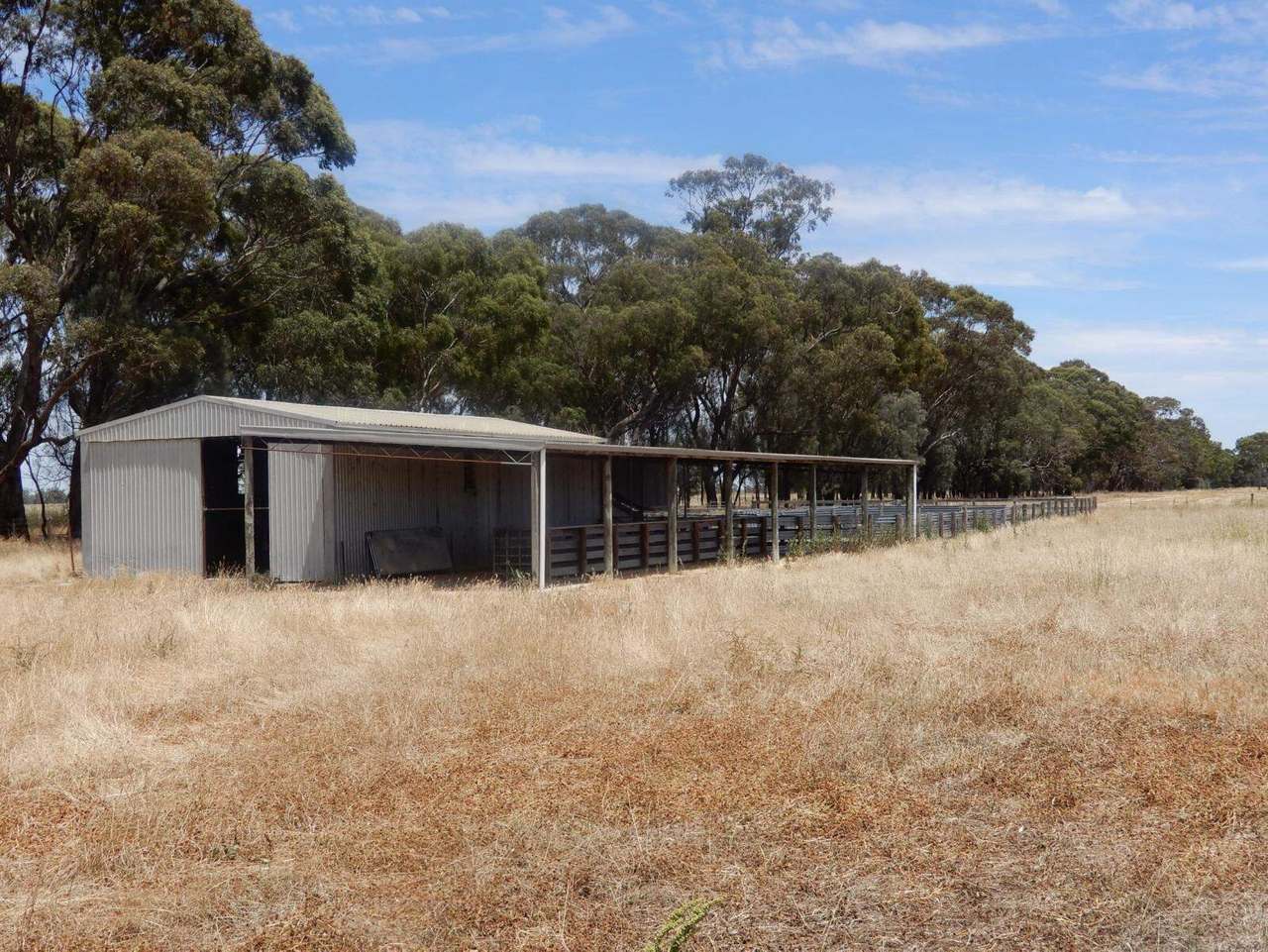 Allot 83, 84 & 84A Patyah Road, Patyah Leased by Farmbuy.com - image 12