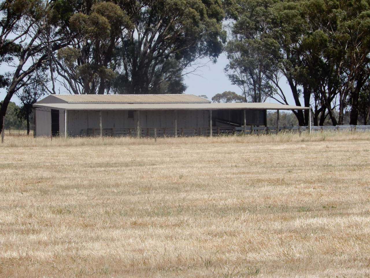 Allot 83, 84 & 84A Patyah Road, Patyah Leased by Farmbuy.com - image 13