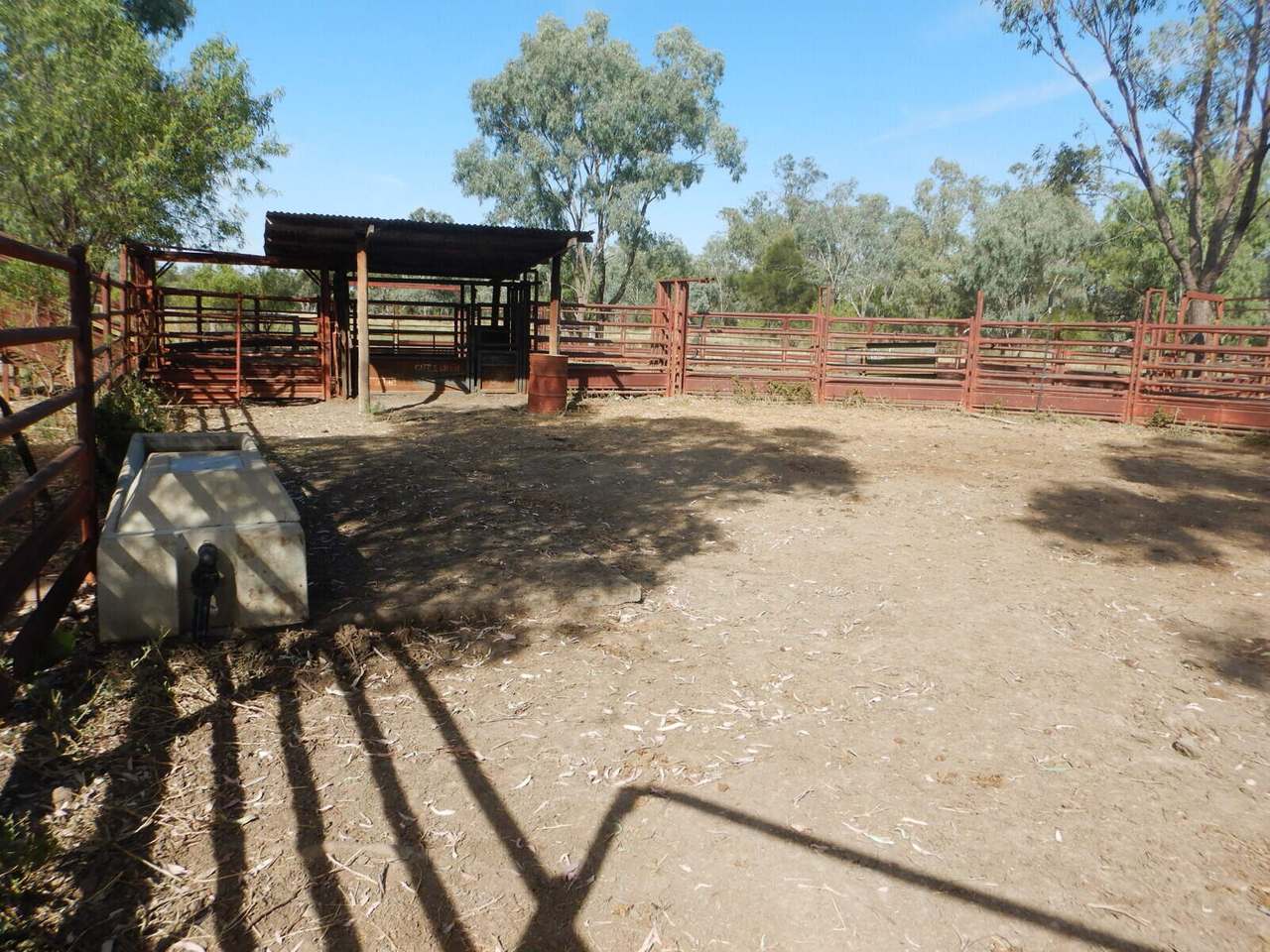 BURRENDOWN SOUTH, MUNGINDI Auction by Farmbuy.com - image 11