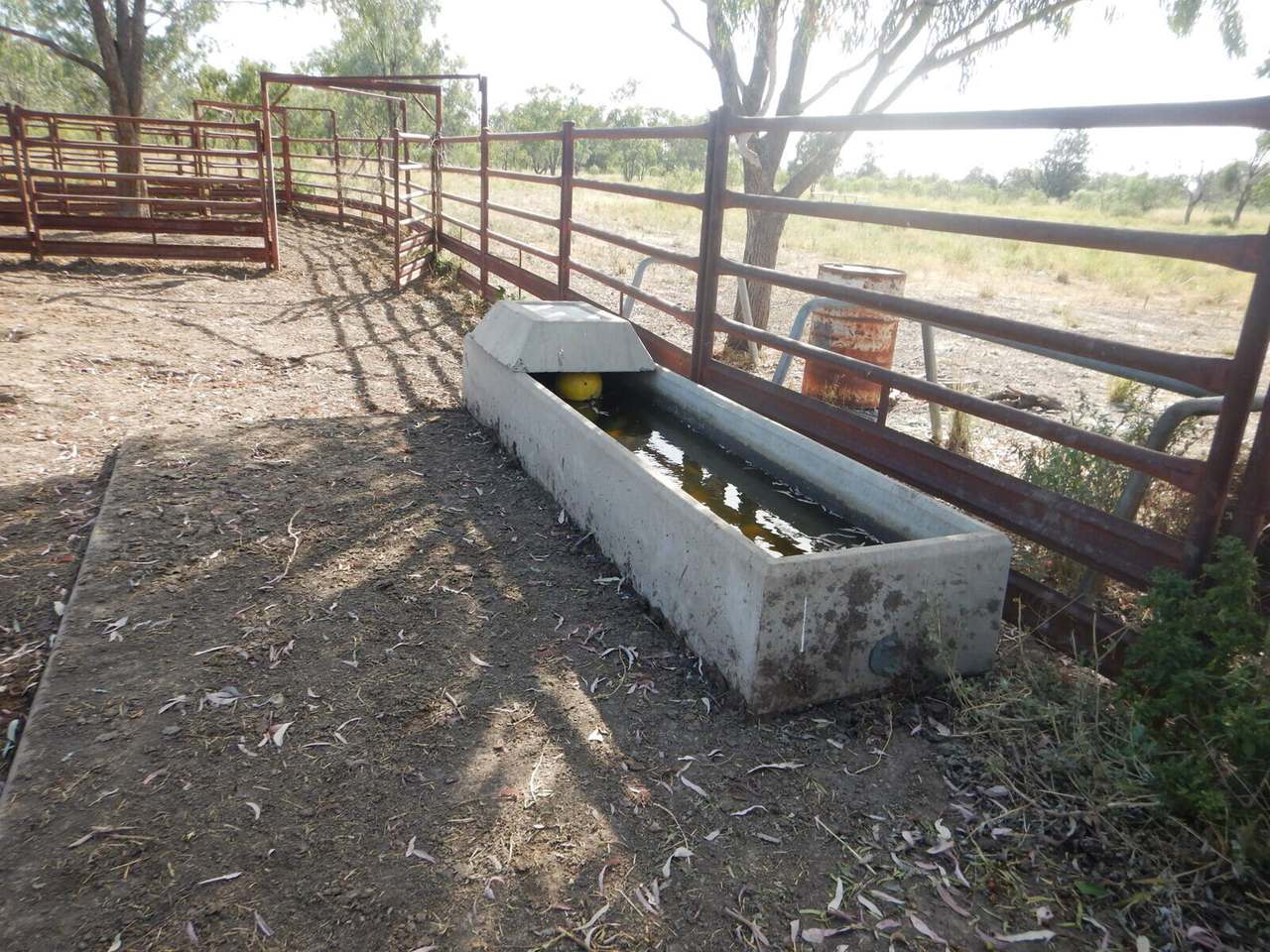 BURRENDOWN SOUTH, MUNGINDI Auction by Farmbuy.com - image 10