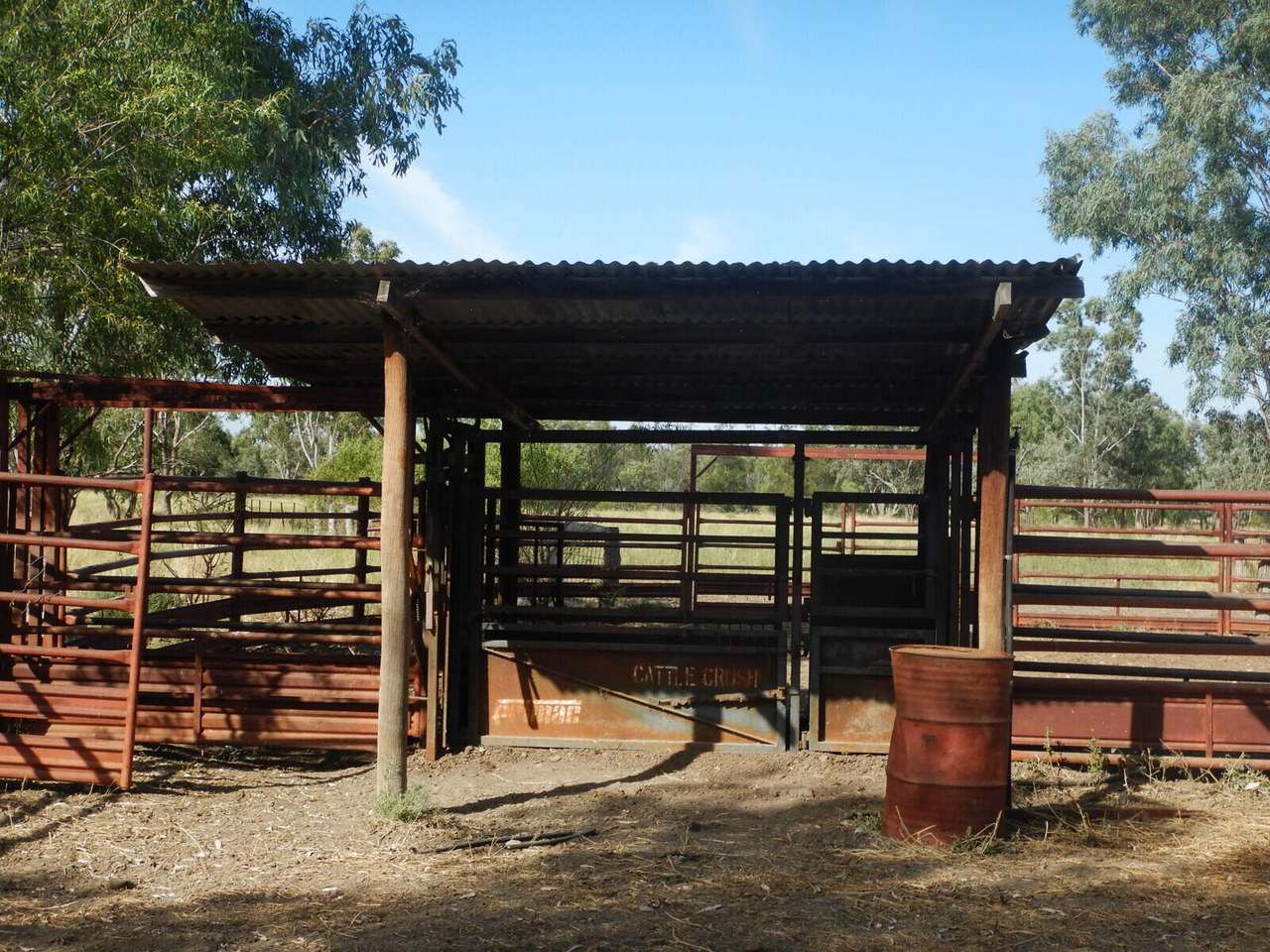 BURRENDOWN SOUTH, MUNGINDI Auction by Farmbuy.com - image 12
