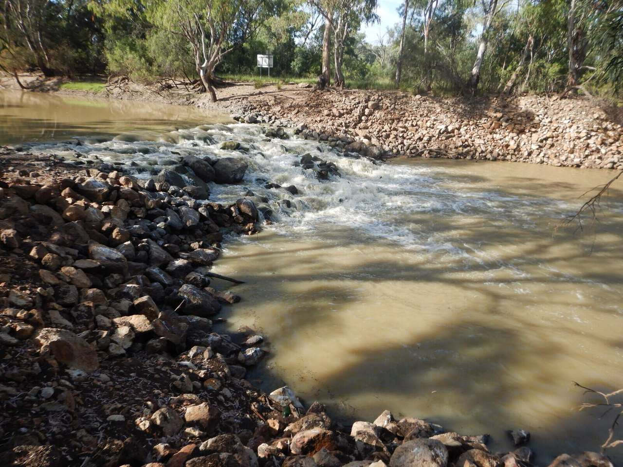 BURRENDOWN SOUTH, MUNGINDI Auction by Farmbuy.com - image 8
