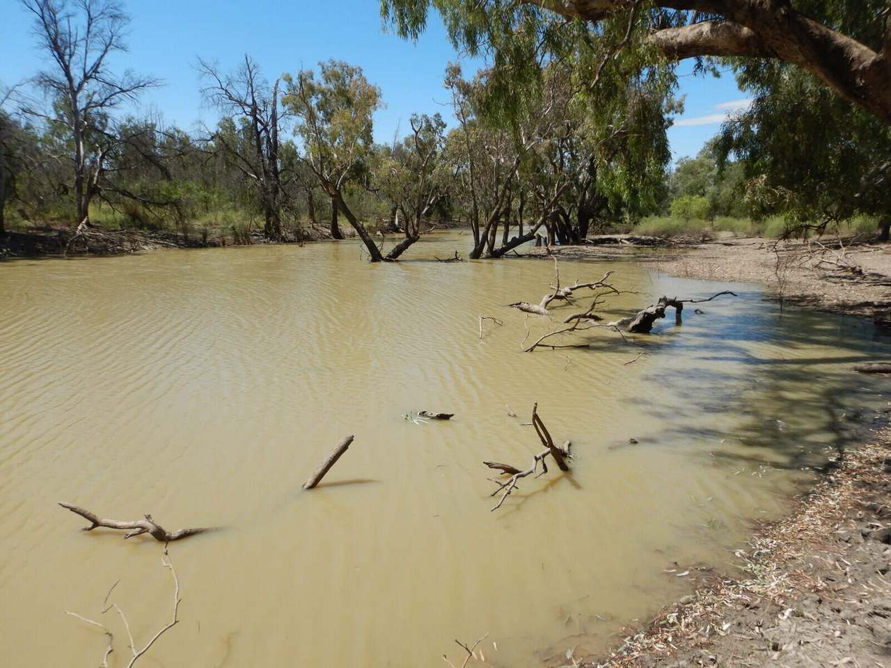 BURRENDOWN SOUTH, MUNGINDI Auction by Farmbuy.com - image 6