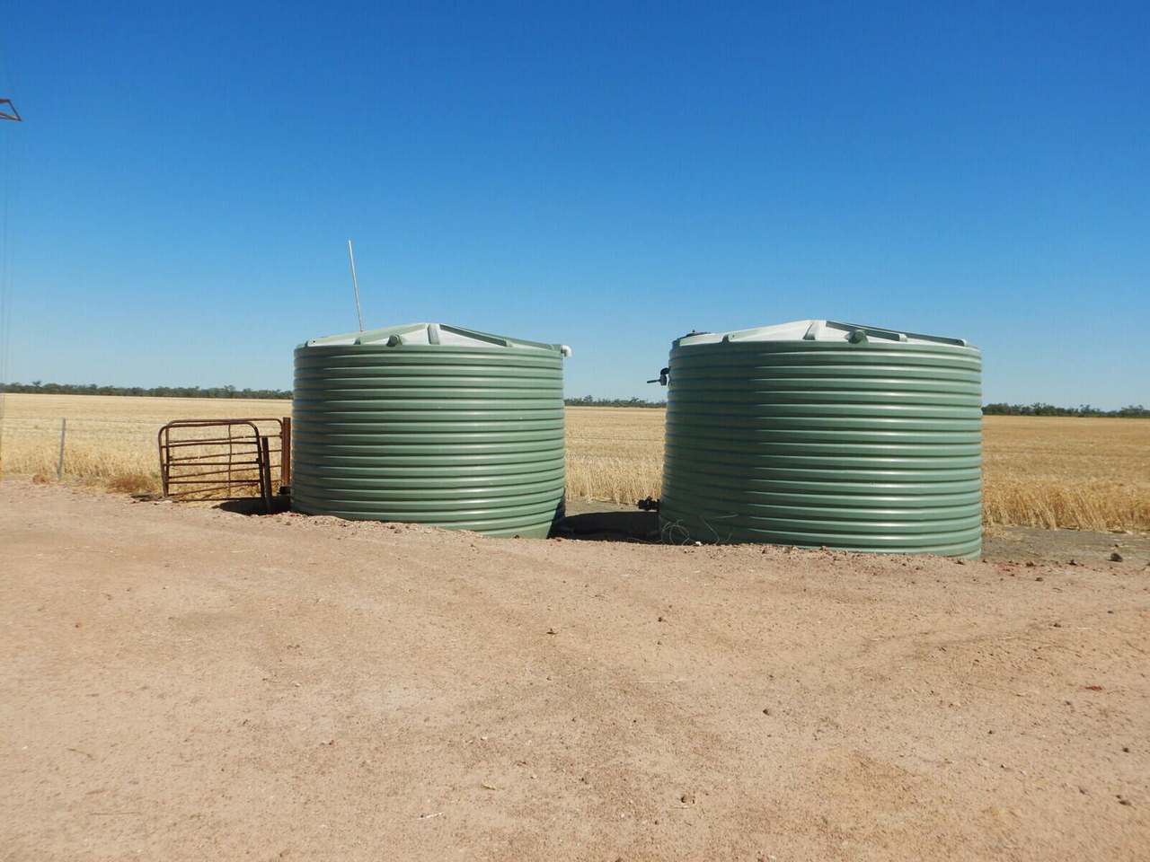 BURRENDOWN SOUTH, MUNGINDI Auction by Farmbuy.com - image 9