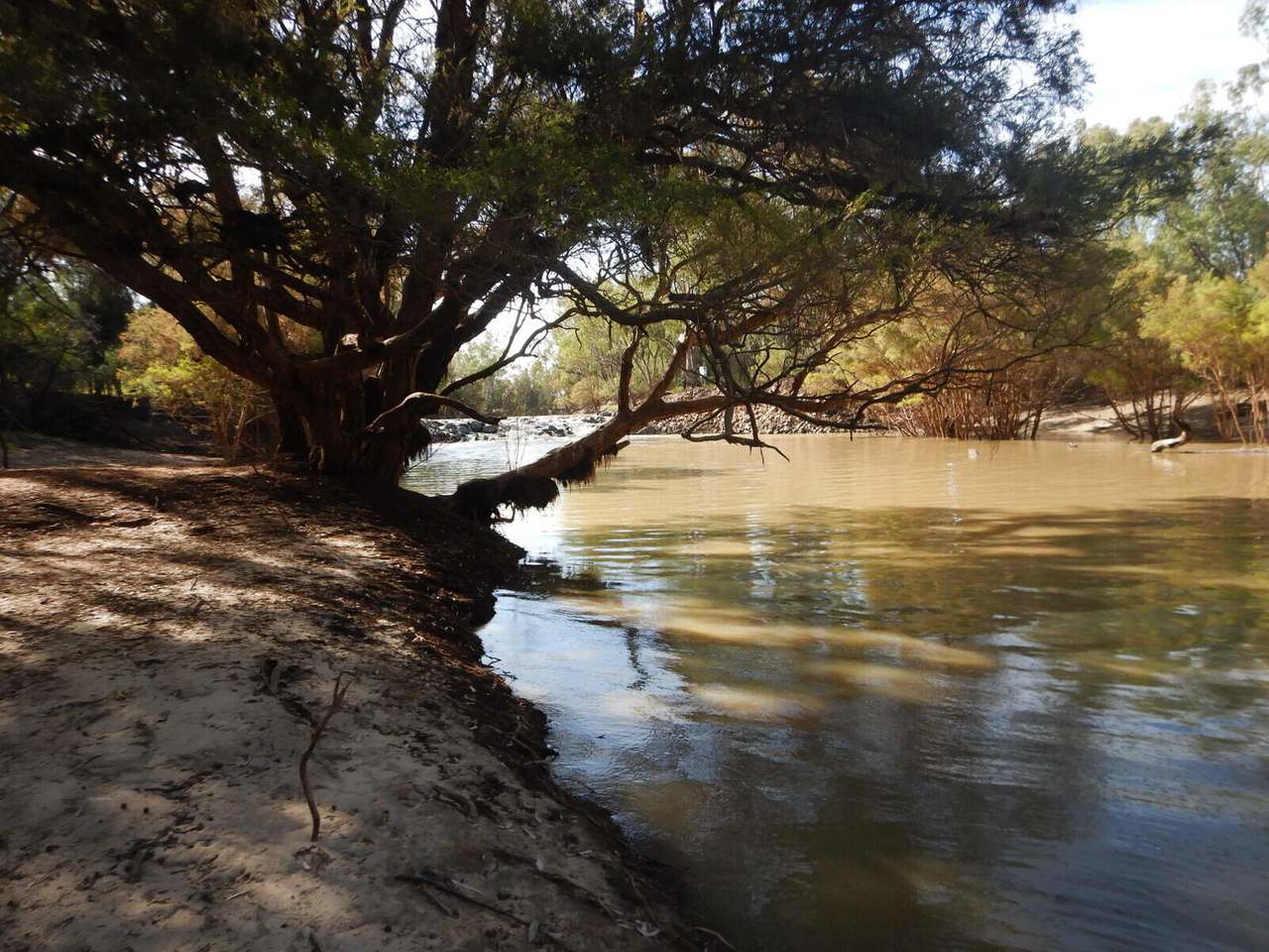 BURRENDOWN SOUTH, MUNGINDI Auction by Farmbuy.com - image 14