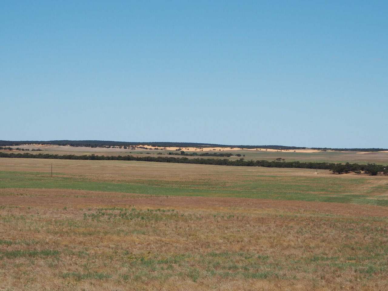 Sandalwood Road, Sandalwood For Sale by Farmbuy.com - image 10