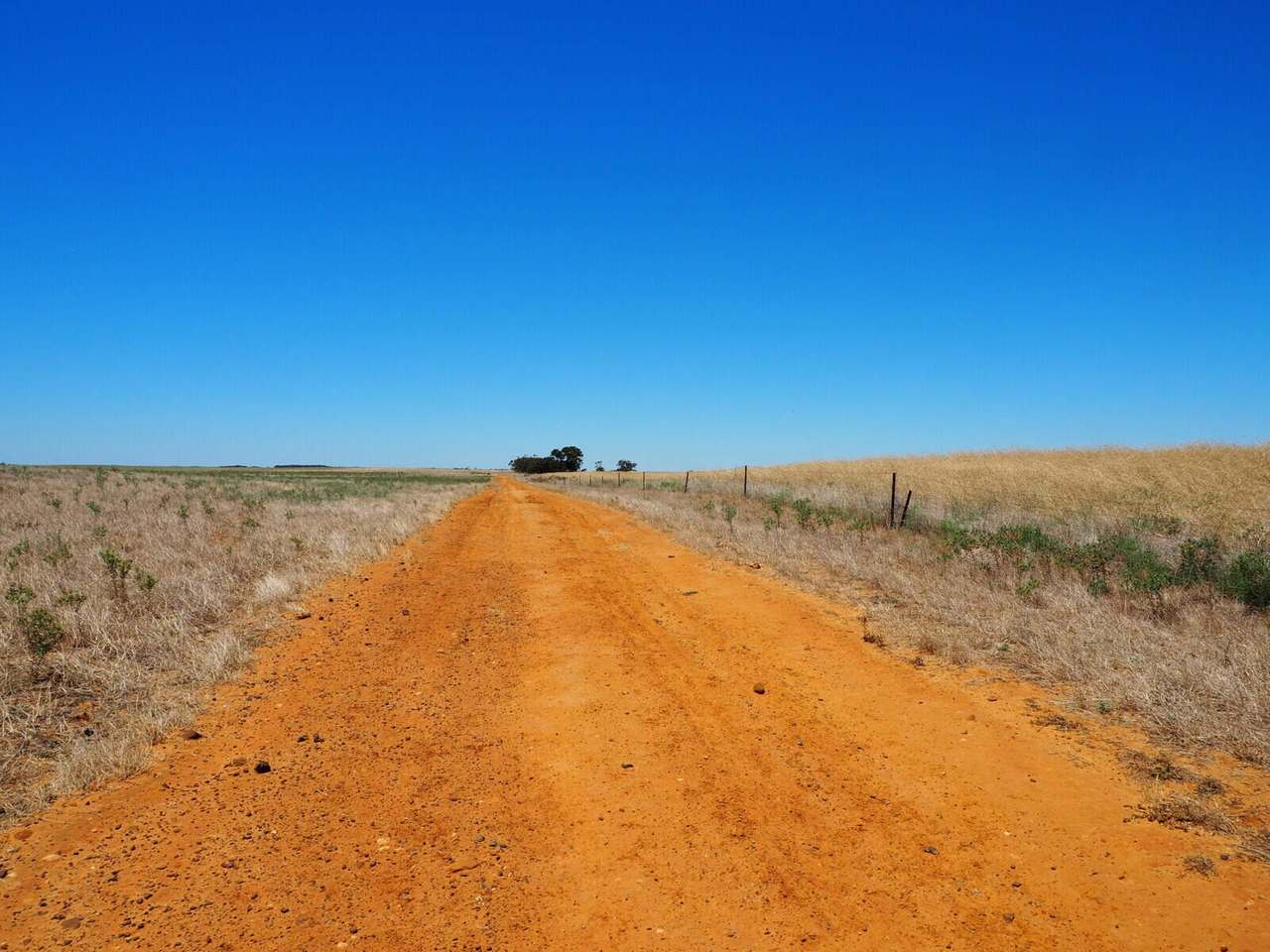 Sandalwood Road, Sandalwood For Sale by Farmbuy.com - image 8
