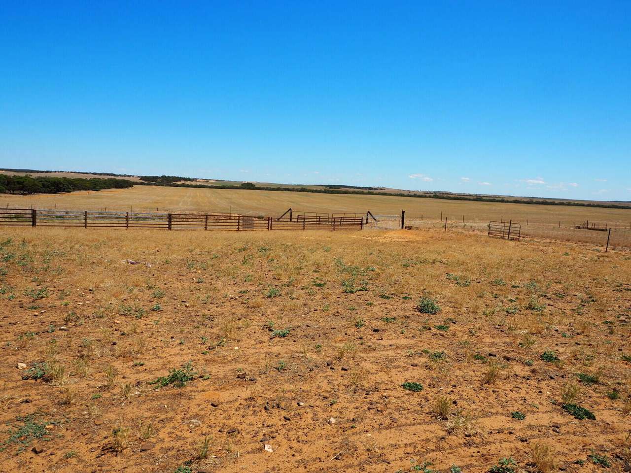 Sandalwood Road, Sandalwood For Sale by Farmbuy.com - image 23