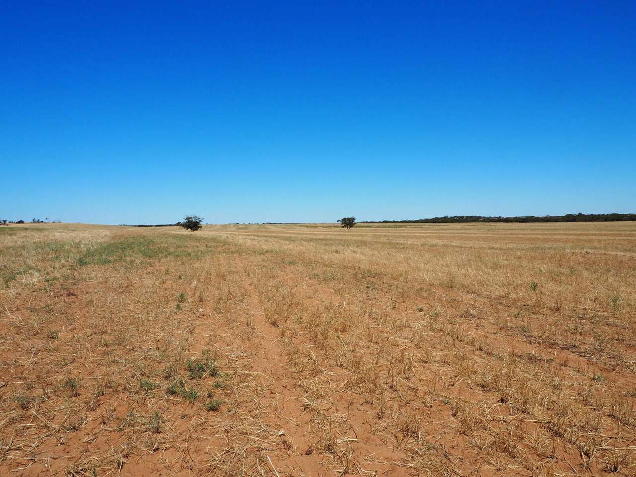 Sandalwood Road, Sandalwood For Sale by Farmbuy.com - image 24