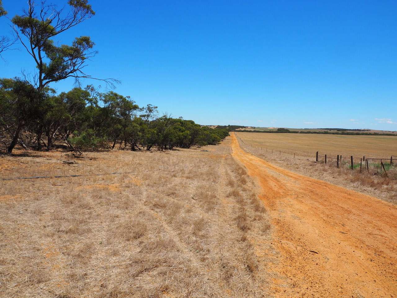 Sandalwood Road, Sandalwood For Sale by Farmbuy.com - image 18