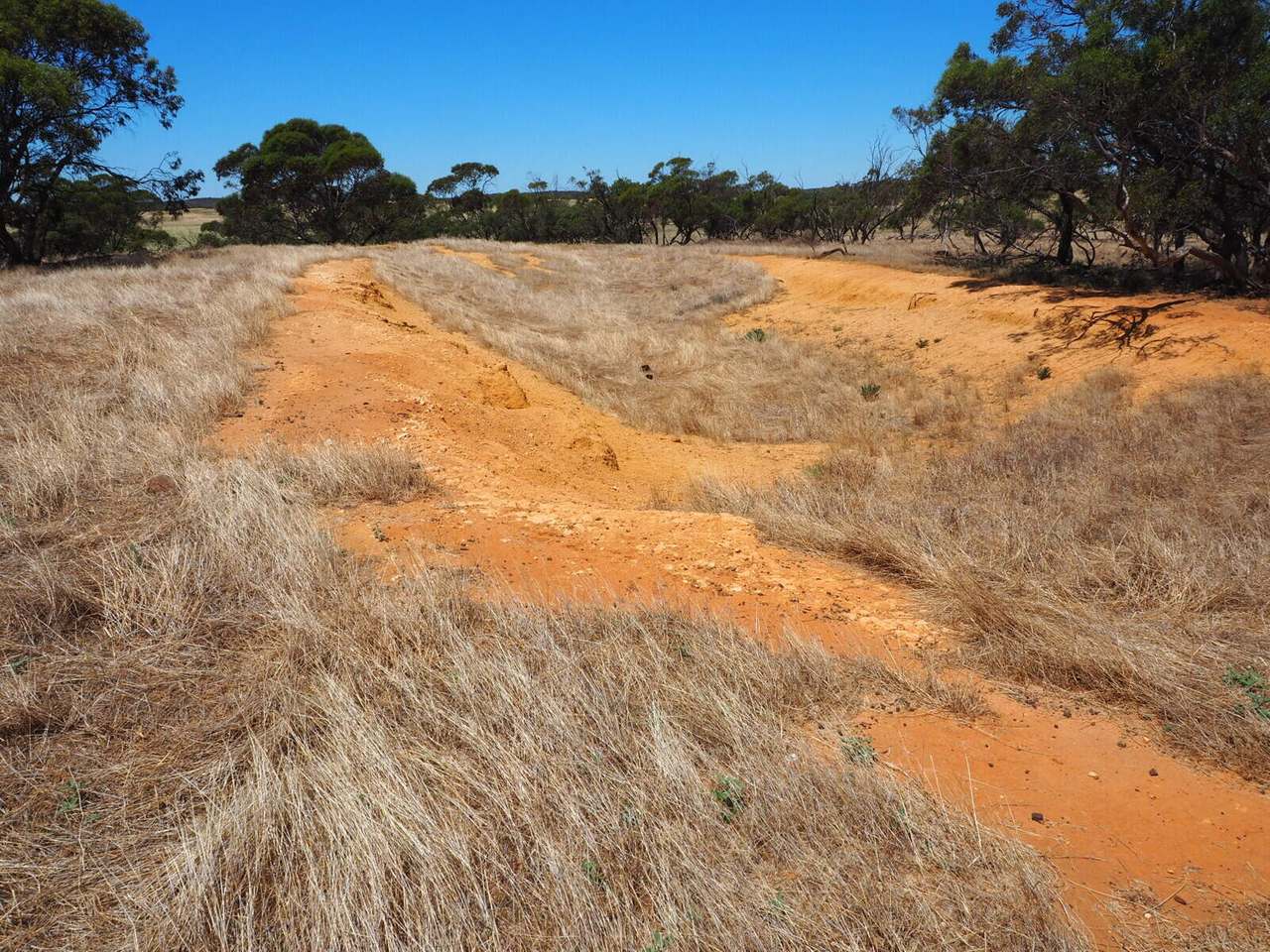 Sandalwood Road, Sandalwood For Sale by Farmbuy.com - image 14