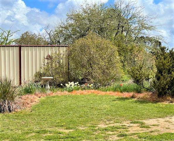 19 Stanton Street, Nimmitabel Sold by Farmbuy.com - image 11