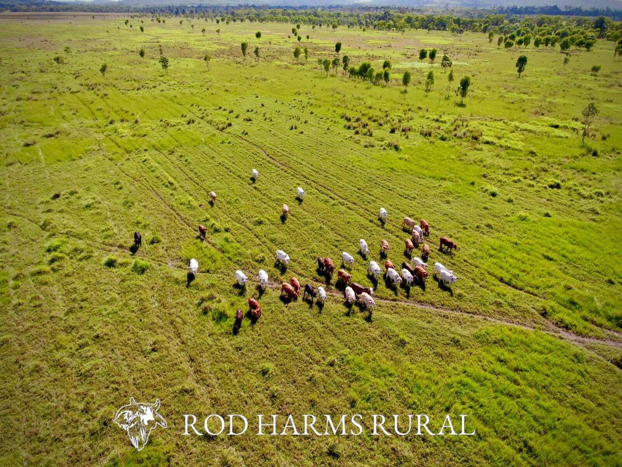 430 Lake Mary Road, 15 minutes from Yeppoon Auction by Farmbuy.com - image 50