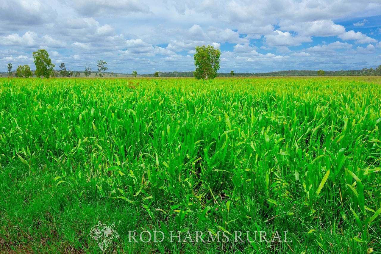 430 Lake Mary Road, 15 minutes from Yeppoon Auction by Farmbuy.com - image 13