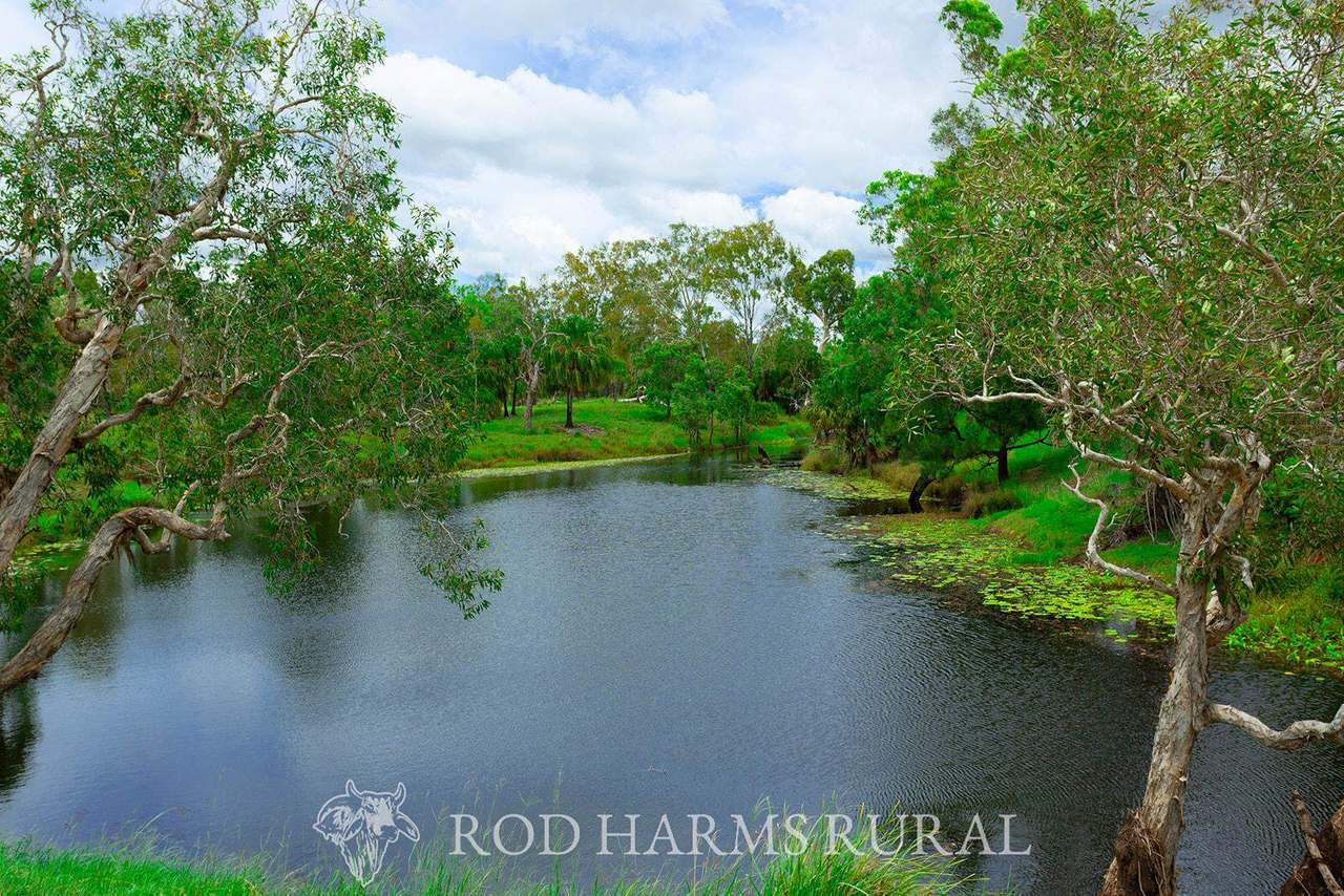 430 Lake Mary Road, 15 minutes from Yeppoon Auction by Farmbuy.com - image 21