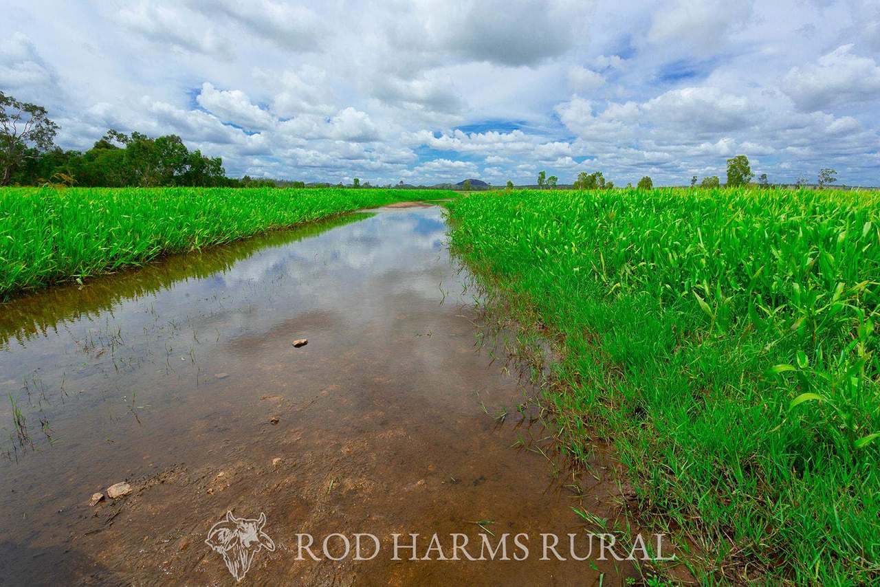 430 Lake Mary Road, 15 minutes from Yeppoon Auction by Farmbuy.com - image 14