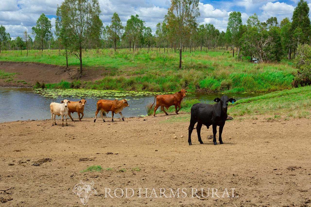 430 Lake Mary Road, 15 minutes from Yeppoon Auction by Farmbuy.com - image 26