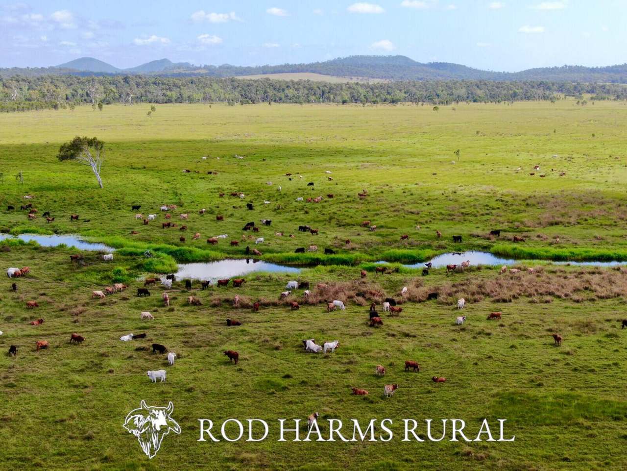 430 Lake Mary Road, 15 minutes from Yeppoon Auction by Farmbuy.com - image 39