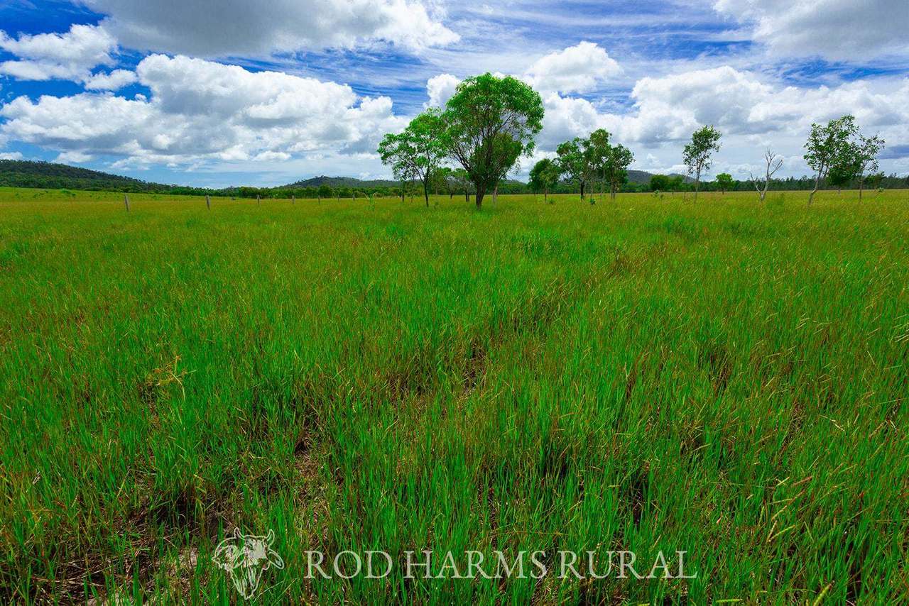 430 Lake Mary Road, 15 minutes from Yeppoon Auction by Farmbuy.com - image 3