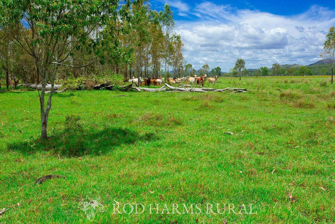 430 Lake Mary Road, 15 minutes from Yeppoon Auction by Farmbuy.com - image 30
