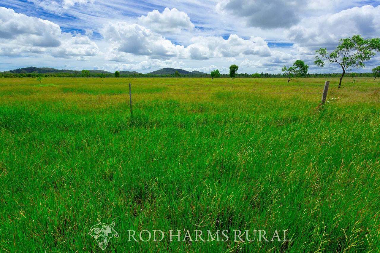 430 Lake Mary Road, 15 minutes from Yeppoon Auction by Farmbuy.com - image 5