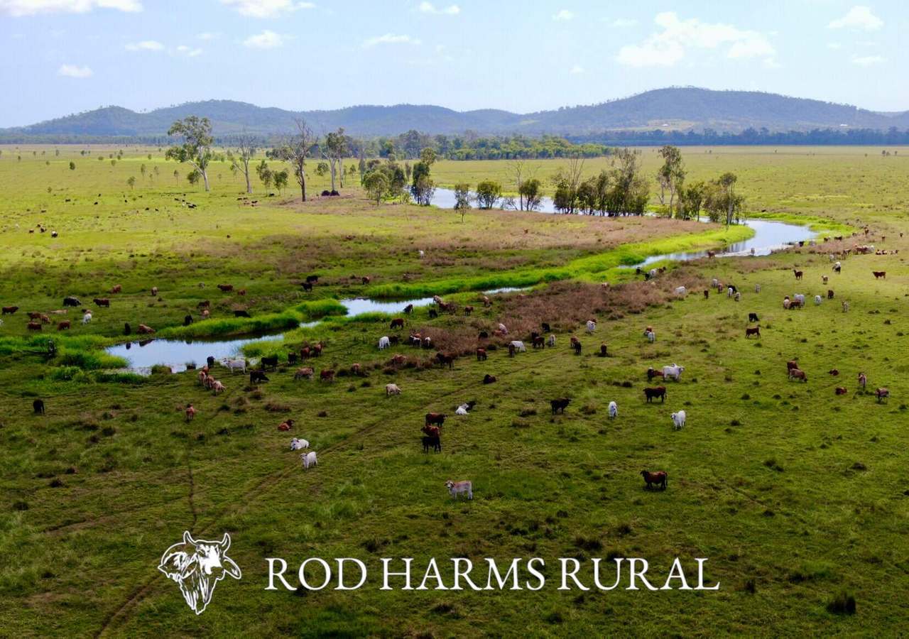 430 Lake Mary Road, 15 minutes from Yeppoon Auction by Farmbuy.com - image 40