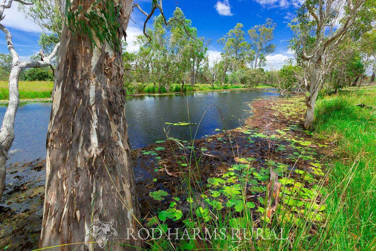430 Lake Mary Road, 15 minutes from Yeppoon Auction by Farmbuy.com - image 29