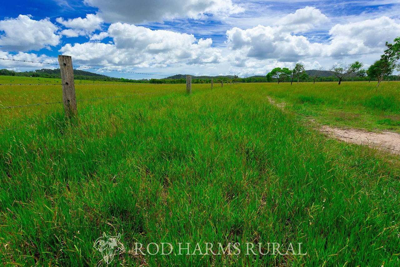 430 Lake Mary Road, 15 minutes from Yeppoon Auction by Farmbuy.com - image 4