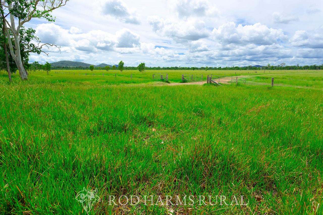 430 Lake Mary Road, 15 minutes from Yeppoon Auction by Farmbuy.com - image 11
